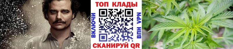 Купить наркоту Брянск Гашиш КОКАИН МЕФ МАРИХУАНА
