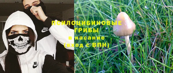 apvp Арсеньев