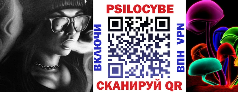 hydra ТОР  Брянск  Псилоцибиновые грибы прущие грибы  что такое  